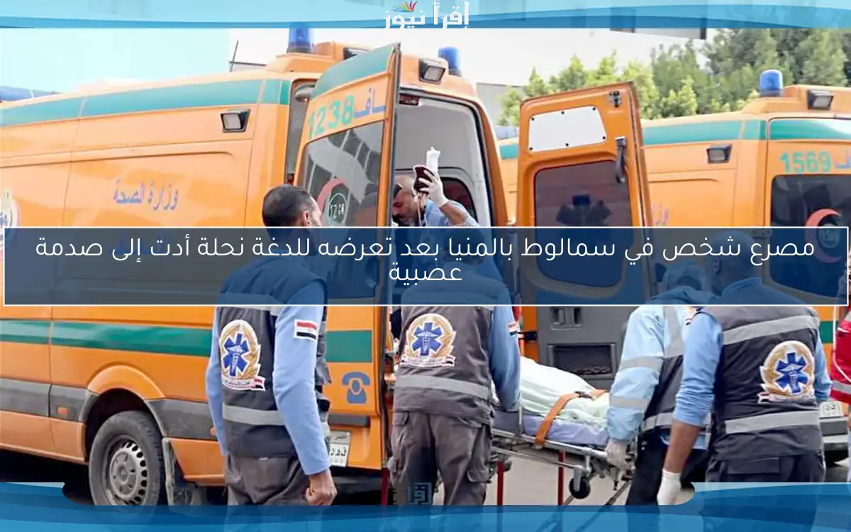 مصرع شخص في سمالوط بالمنيا بعد تعرضه للدغة نحلة أدت إلى صدمة عصبية
