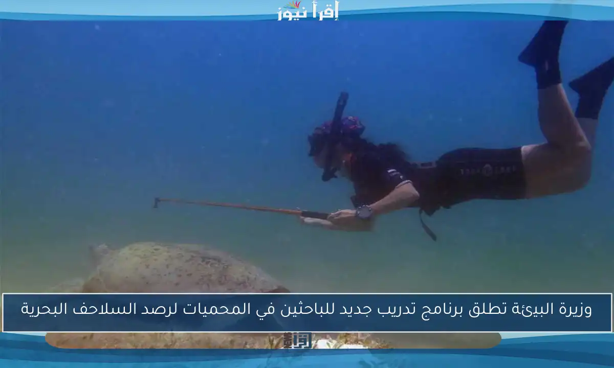 وزيرة البيئة تطلق برنامج تدريب جديد للباحثين في المحميات لرصد السلاحف البحرية