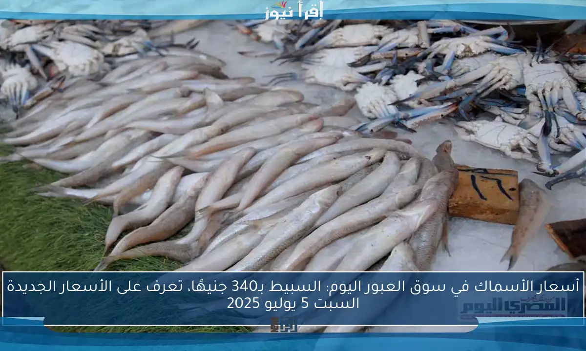 أسعار الأسماك في سوق العبور اليوم: السبيط بـ340 جنيهًا، تعرف على الأسعار الجديدة السبت 5 يوليو 2025