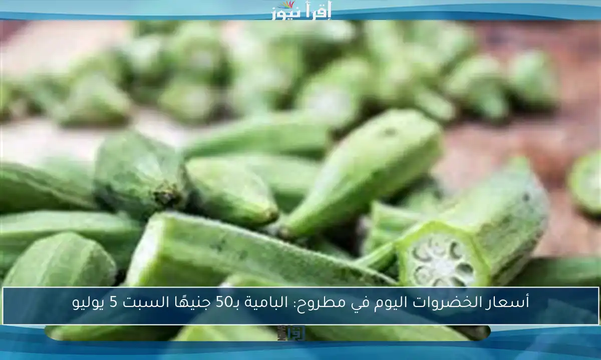 أسعار الخضروات اليوم في مطروح: البامية بـ50 جنيهًا السبت 5 يوليو