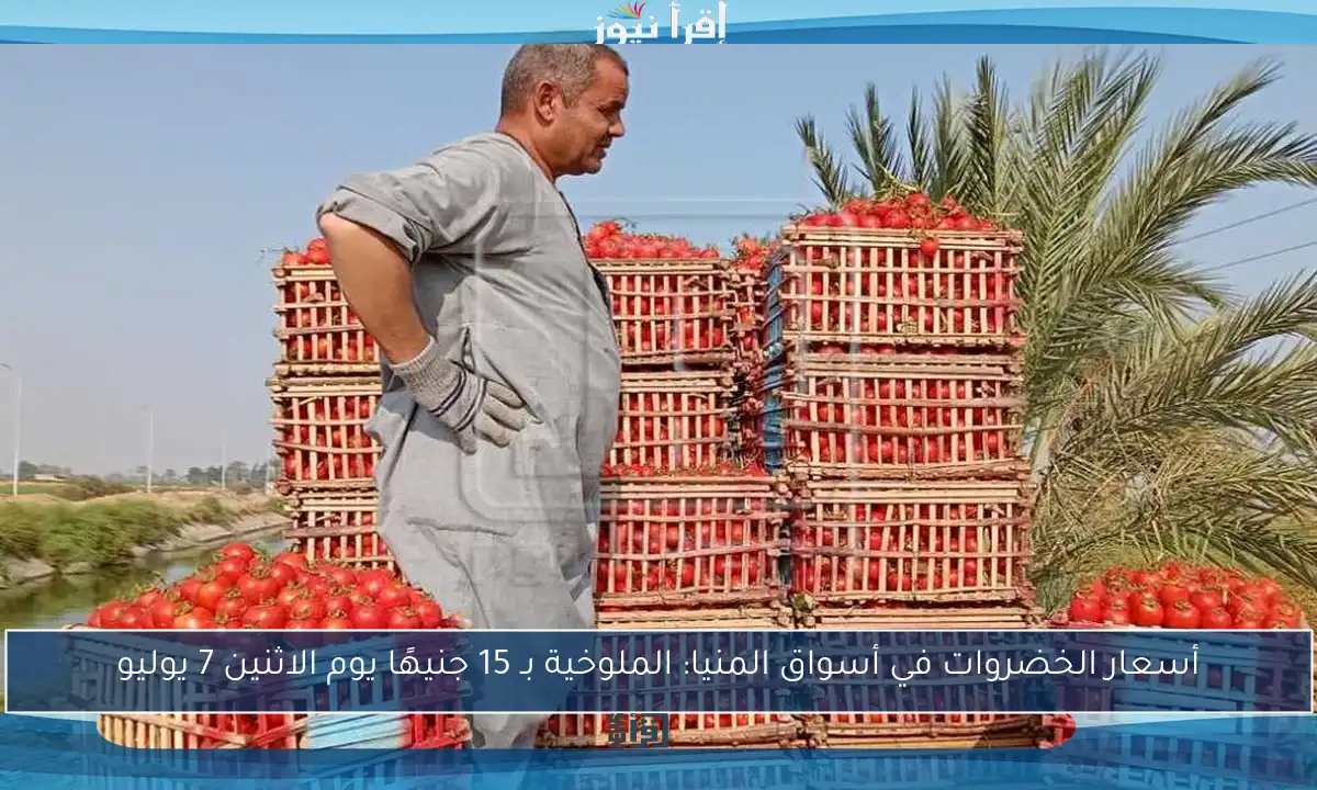 أسعار الخضروات في أسواق المنيا: الملوخية بـ 15 جنيهًا يوم الاثنين 7 يوليو