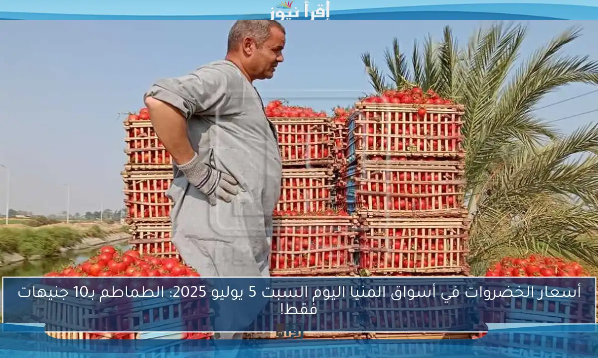 أسعار الخضروات في أسواق المنيا اليوم السبت 5 يوليو 2025: الطماطم بـ10 جنيهات فقط!