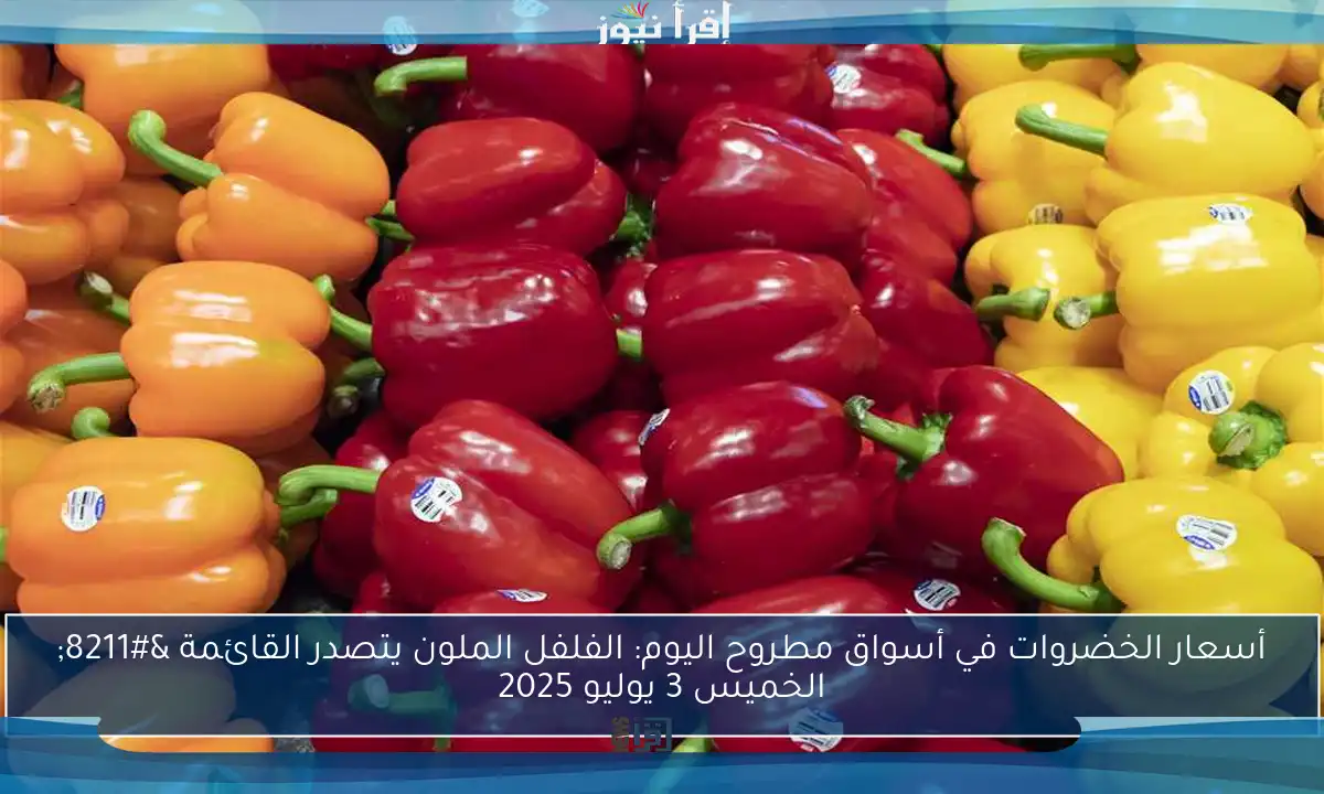 أسعار الخضروات في أسواق مطروح اليوم: الفلفل الملون يتصدر القائمة – الخميس 3 يوليو 2025