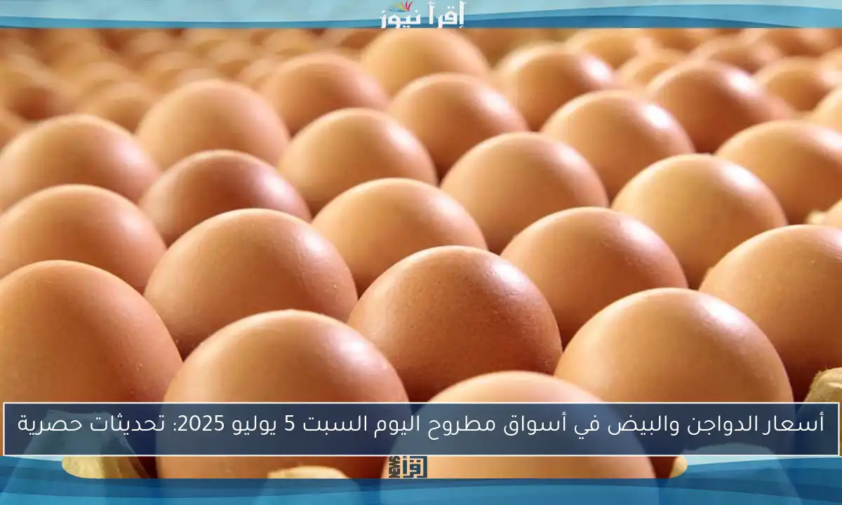 أسعار الدواجن والبيض في أسواق مطروح اليوم السبت 5 يوليو 2025: تحديثات حصرية