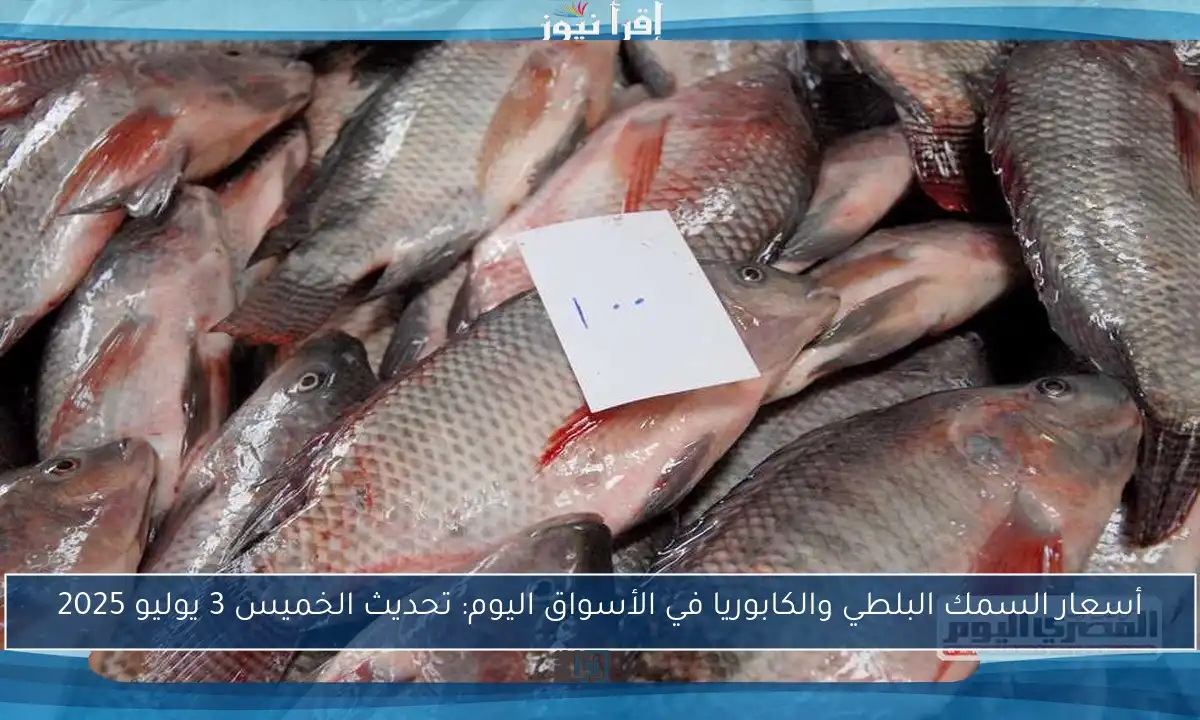 أسعار السمك البلطي والكابوريا في الأسواق اليوم: تحديث الخميس 3 يوليو 2025