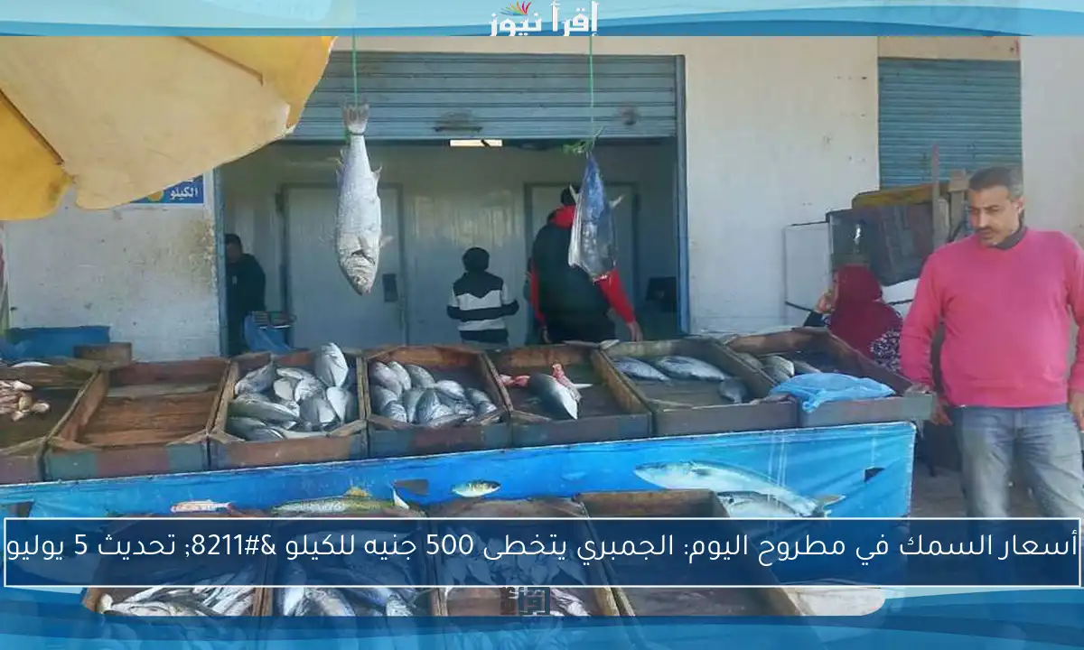 أسعار السمك في مطروح اليوم: الجمبري يتخطى 500 جنيه للكيلو – تحديث 5 يوليو