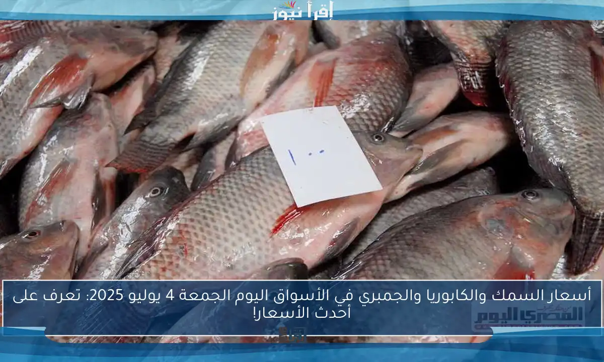 أسعار السمك والكابوريا والجمبري في الأسواق اليوم الجمعة 4 يوليو 2025: تعرف على أحدث الأسعار!