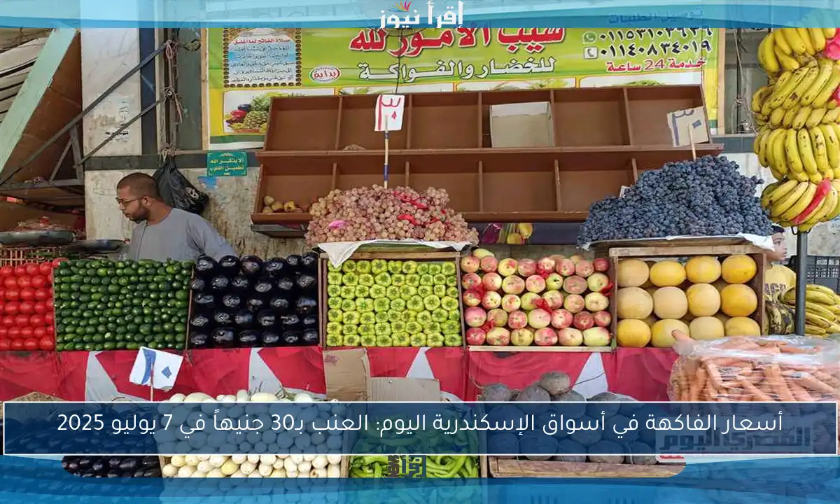 أسعار الفاكهة في أسواق الإسكندرية اليوم: العنب بـ30 جنيهاً في 7 يوليو 2025