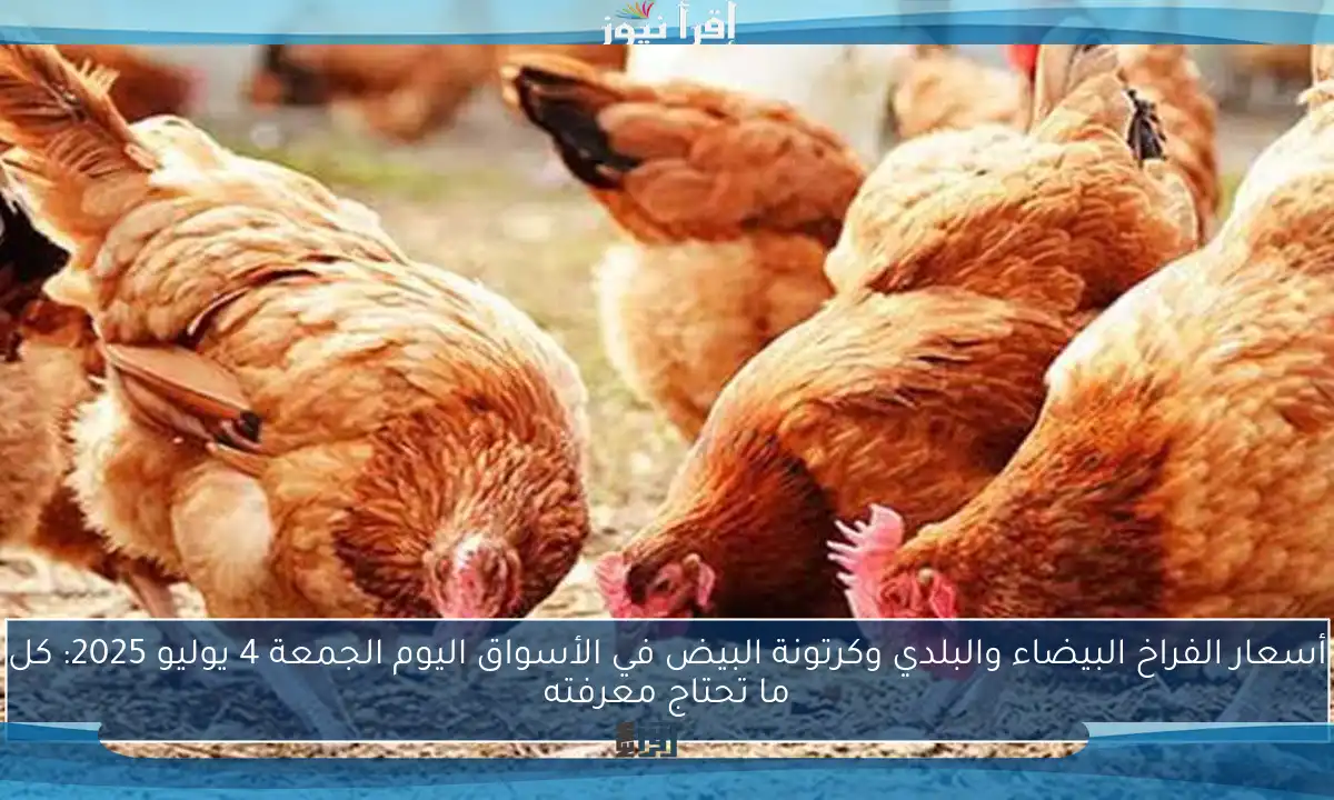 أسعار الفراخ البيضاء والبلدي وكرتونة البيض في الأسواق اليوم الجمعة 4 يوليو 2025: كل ما تحتاج معرفته