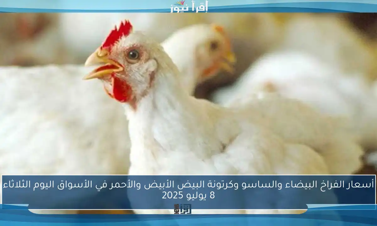 أسعار الفراخ البيضاء والساسو وكرتونة البيض الأبيض والأحمر في الأسواق اليوم الثلاثاء 8 يوليو 2025