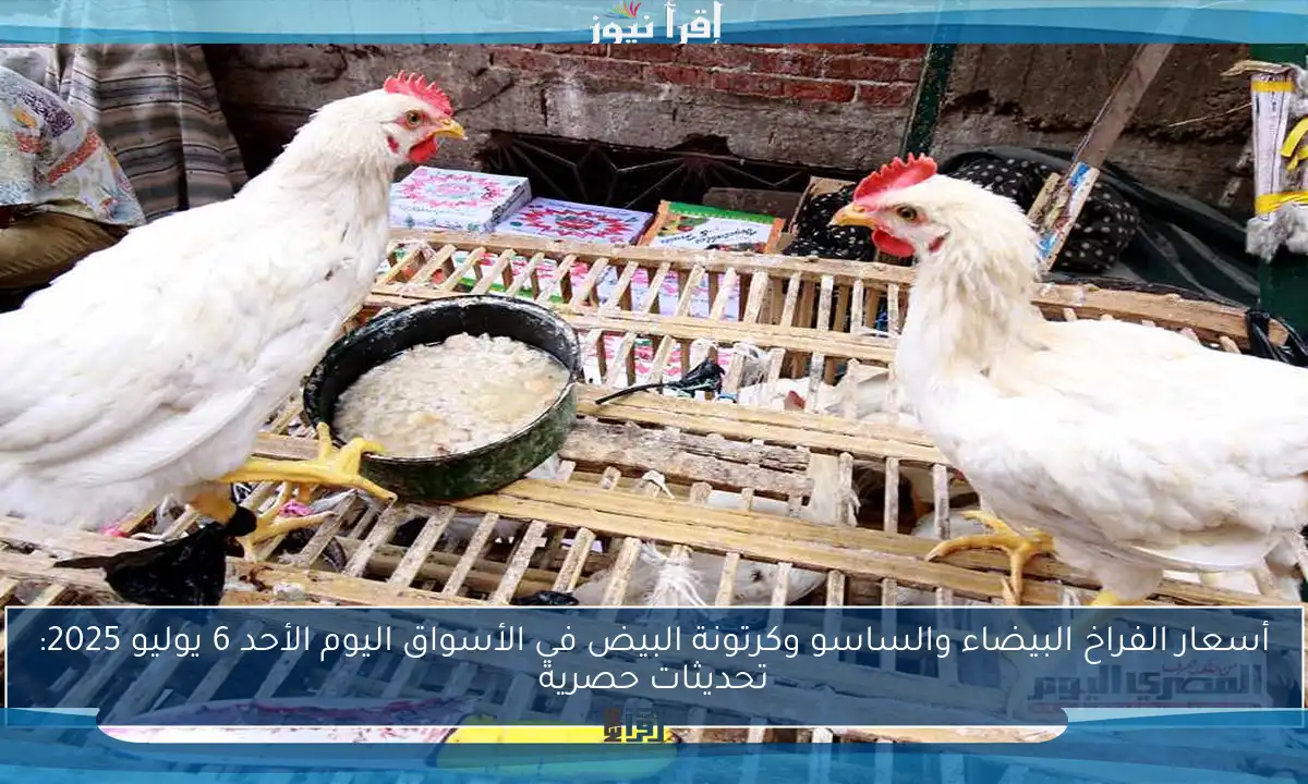 أسعار الفراخ البيضاء والساسو وكرتونة البيض في الأسواق اليوم الأحد 6 يوليو 2025: تحديثات حصرية
