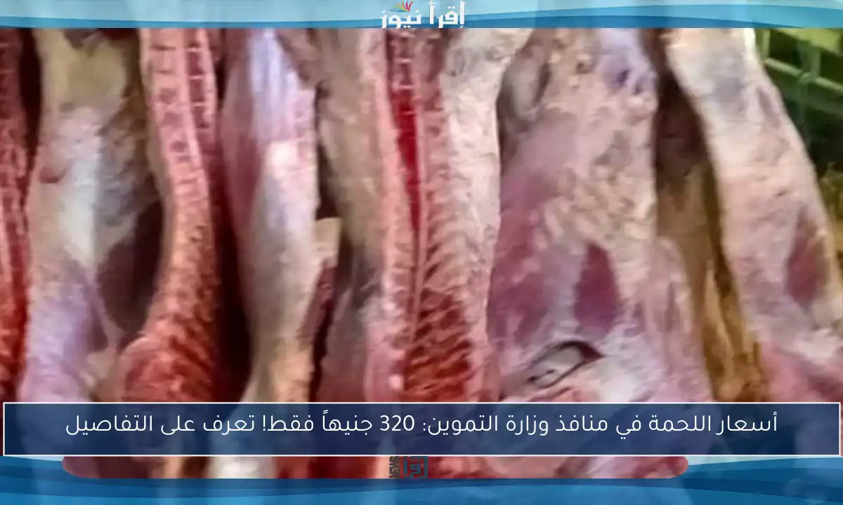 أسعار اللحمة في منافذ وزارة التموين: 320 جنيهاً فقط! تعرف على التفاصيل