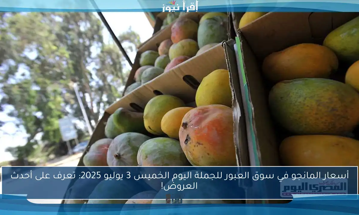 أسعار المانجو في سوق العبور للجملة اليوم الخميس 3 يوليو 2025: تعرف على أحدث العروض!