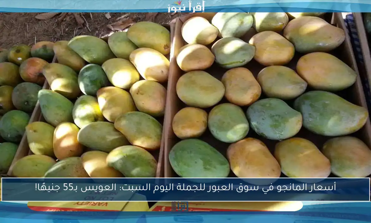أسعار المانجو في سوق العبور للجملة اليوم السبت: العويس بـ55 جنيهًا!