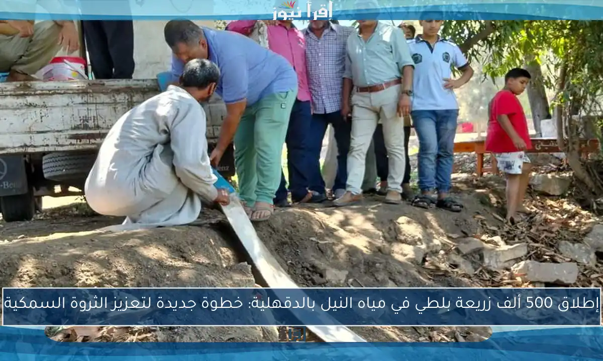 إطلاق 500 ألف زريعة بلطي في مياه النيل بالدقهلية: خطوة جديدة لتعزيز الثروة السمكية