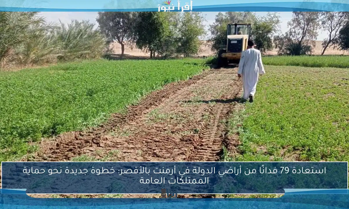 استعادة 79 فدانًا من أراضي الدولة في أرمنت بالأقصر: خطوة جديدة نحو حماية الممتلكات العامة