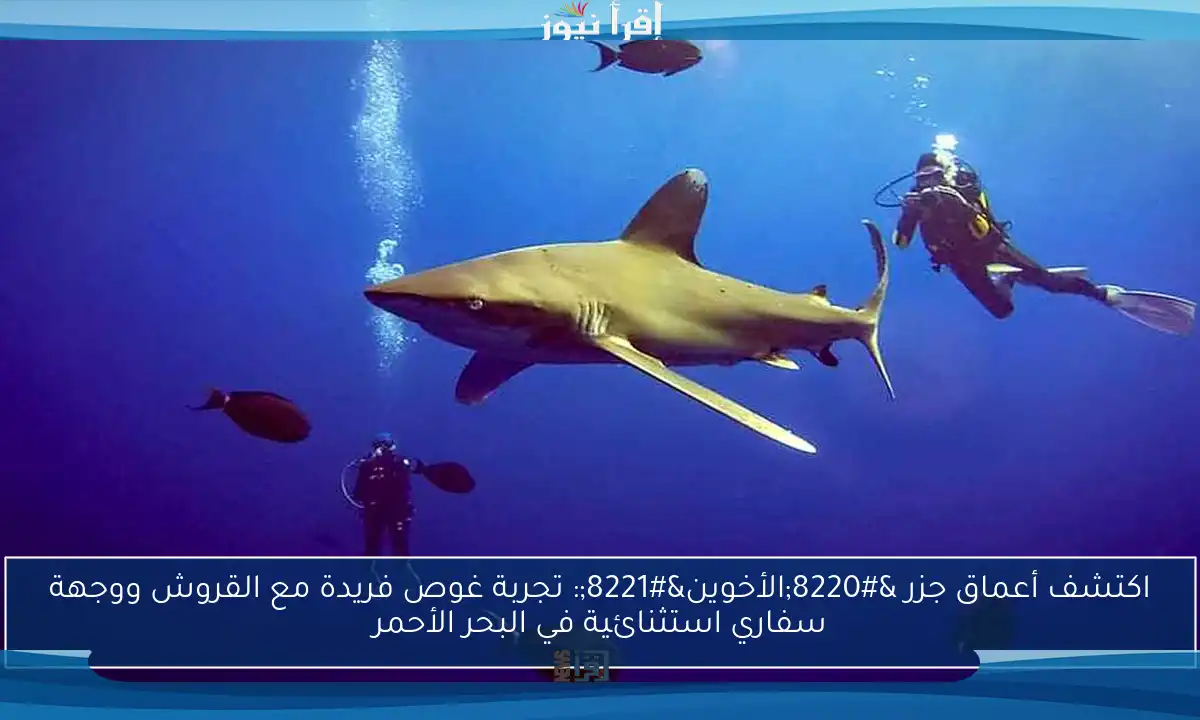 اكتشف أعماق جزر “الأخوين”: تجربة غوص فريدة مع القروش ووجهة سفاري استثنائية في البحر الأحمر