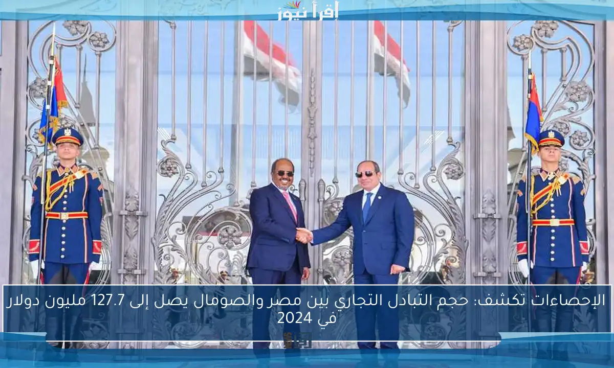 الإحصاءات تكشف: حجم التبادل التجاري بين مصر والصومال يصل إلى 127.7 مليون دولار في 2024