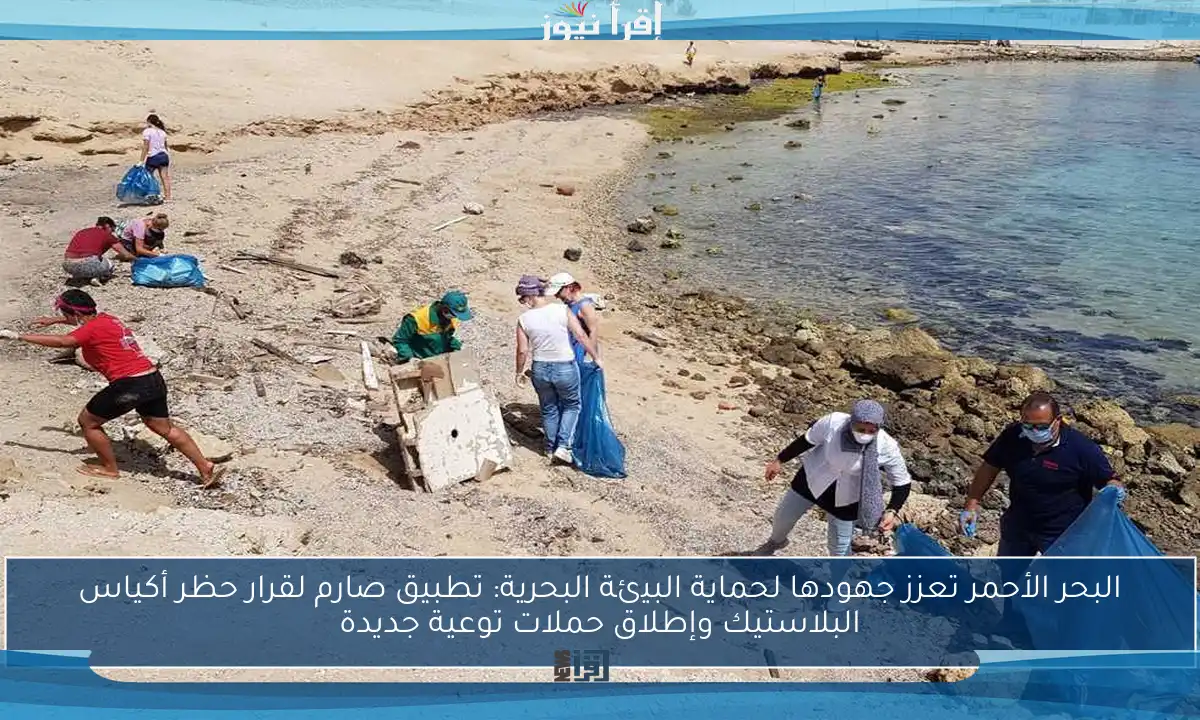 البحر الأحمر تعزز جهودها لحماية البيئة البحرية: تطبيق صارم لقرار حظر أكياس البلاستيك وإطلاق حملات توعية جديدة