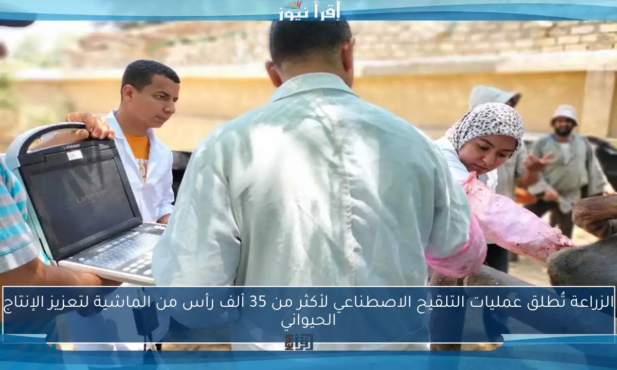 الزراعة تُطلق عمليات التلقيح الاصطناعي لأكثر من 35 ألف رأس من الماشية لتعزيز الإنتاج الحيواني