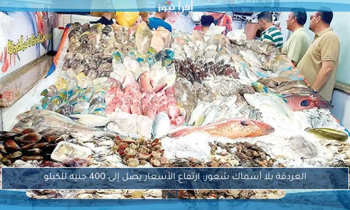 الغردقة بلا أسماك شعور: ارتفاع الأسعار يصل إلى 400 جنيه للكيلو