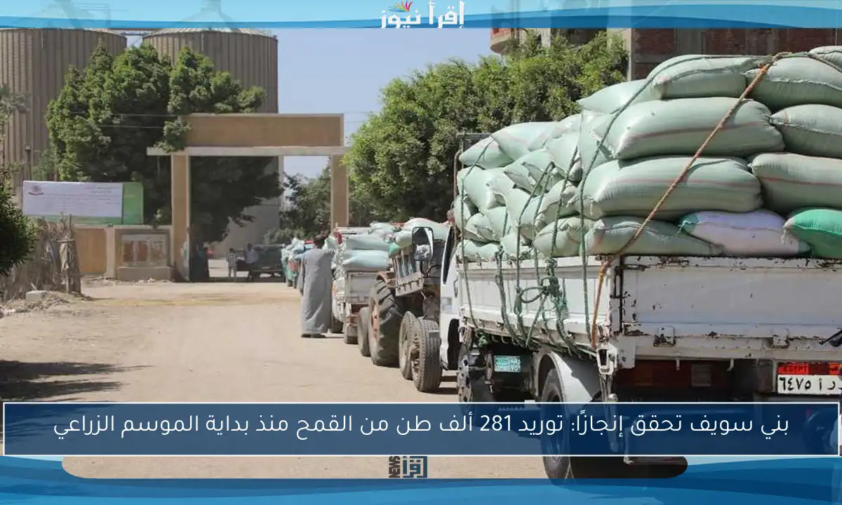 بني سويف تحقق إنجازًا: توريد 281 ألف طن من القمح منذ بداية الموسم الزراعي