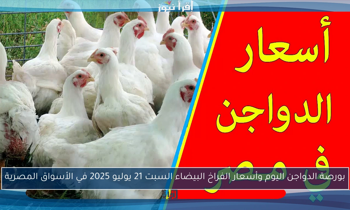 بورصة الدواجن اليوم وأسعار الفراخ البيضاء السبت 21 يوليو 2025 في الأسواق المصرية