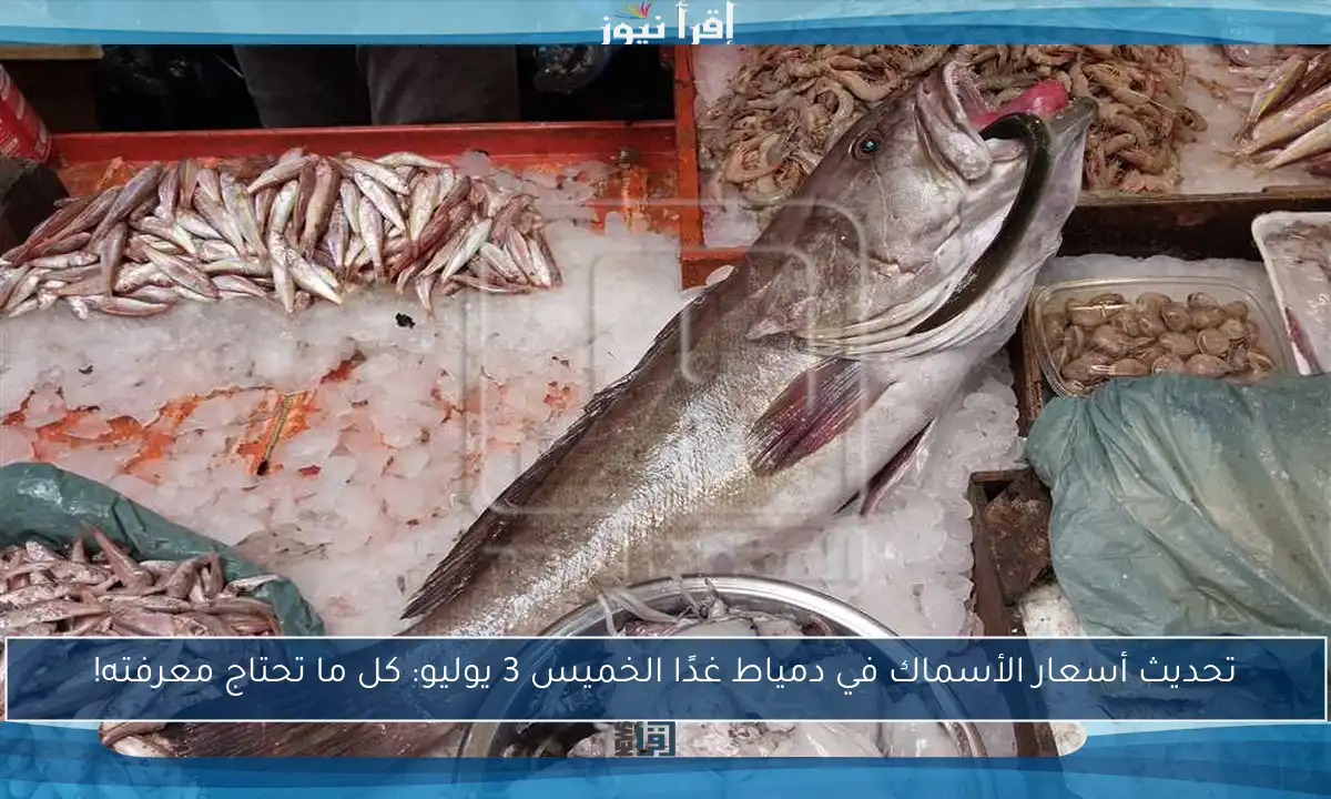 تحديث أسعار الأسماك في دمياط غدًا الخميس 3 يوليو: كل ما تحتاج معرفته!