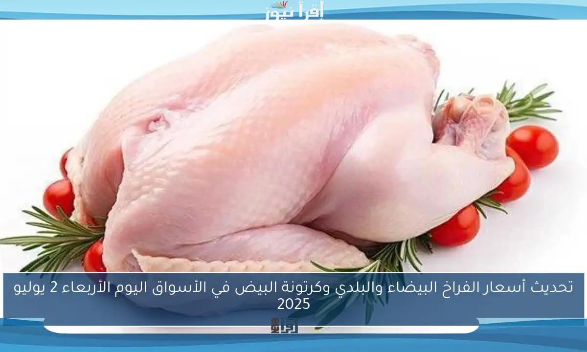 تحديث أسعار الفراخ البيضاء والبلدي وكرتونة البيض في الأسواق اليوم الأربعاء 2 يوليو 2025