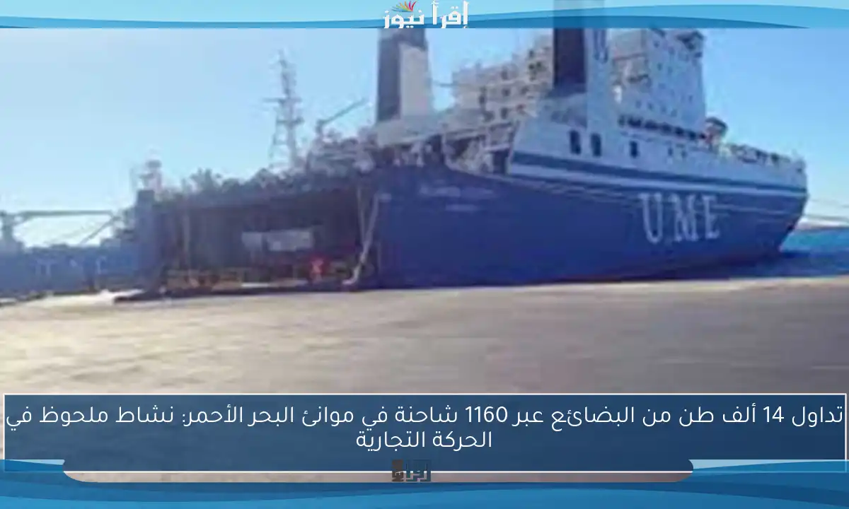 تداول 14 ألف طن من البضائع عبر 1160 شاحنة في موانئ البحر الأحمر: نشاط ملحوظ في الحركة التجارية