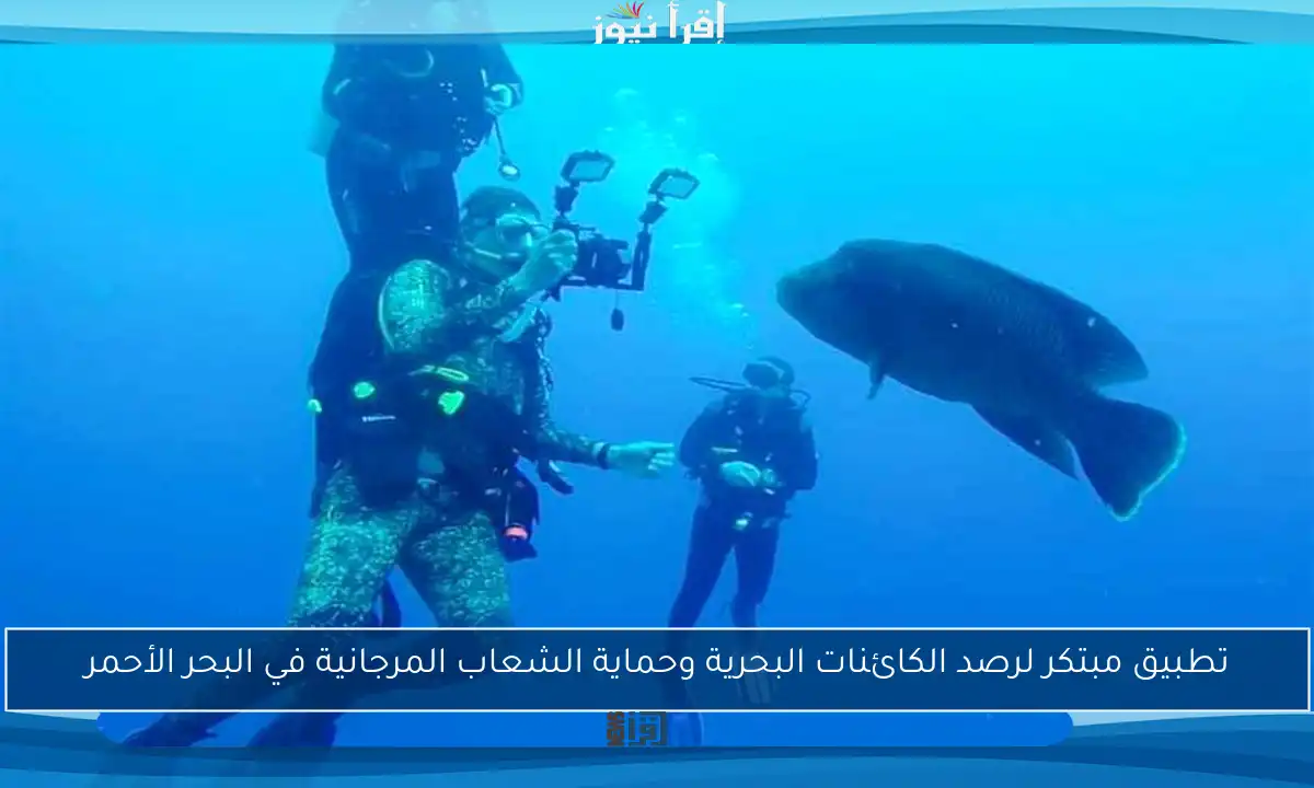 تطبيق مبتكر لرصد الكائنات البحرية وحماية الشعاب المرجانية في البحر الأحمر