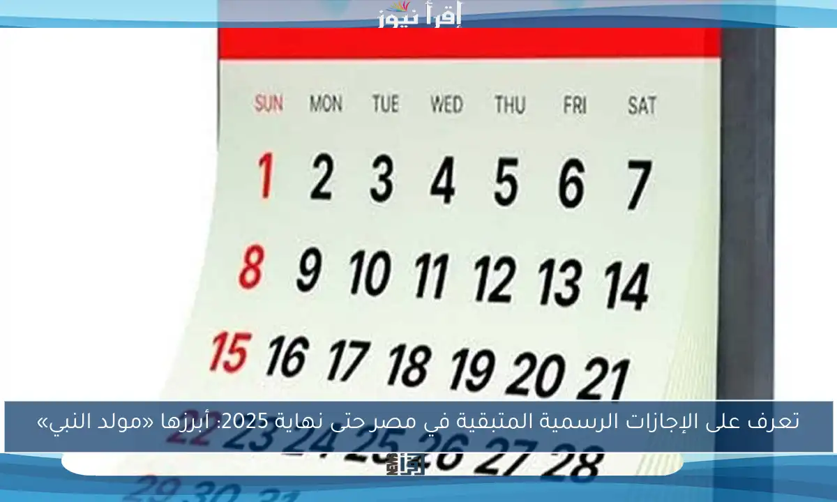 تعرف على الإجازات الرسمية المتبقية في مصر حتى نهاية 2025: أبرزها «مولد النبي»