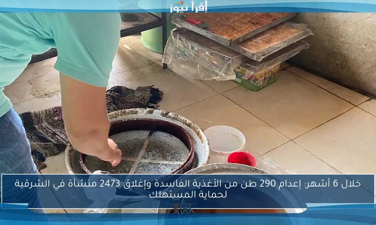 خلال 6 أشهر: إعدام 290 طن من الأغذية الفاسدة وإغلاق 2473 منشأة في الشرقية لحماية المستهلك