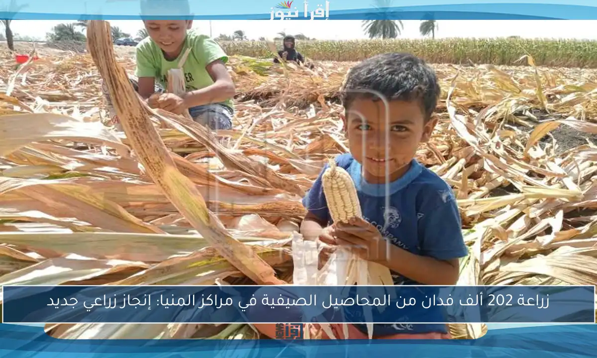 زراعة 202 ألف فدان من المحاصيل الصيفية في مراكز المنيا: إنجاز زراعي جديد