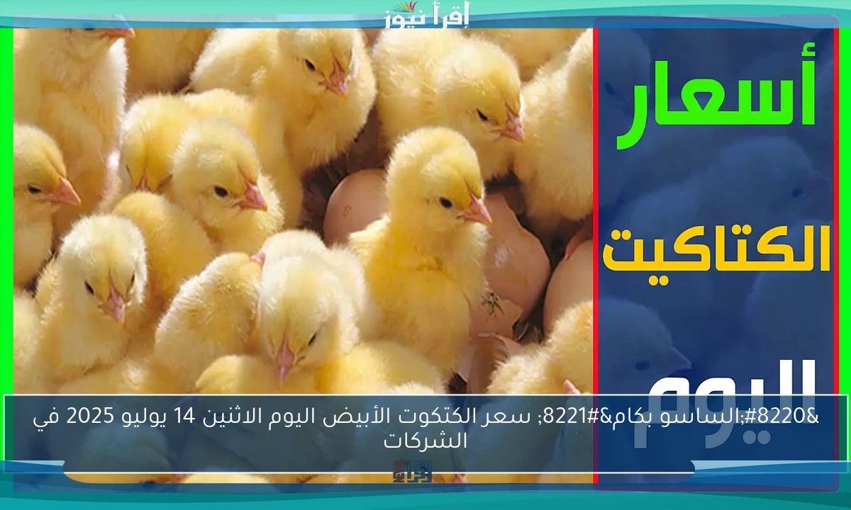 “الساسو بكام” سعر الكتكوت الأبيض اليوم الاثنين 14 يوليو 2025 في الشركات