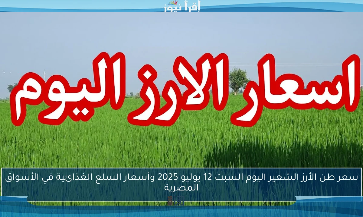 سعر طن الأرز الشعير اليوم السبت 12 يوليو 2025 وأسعار السلع الغذائية في الأسواق المصرية