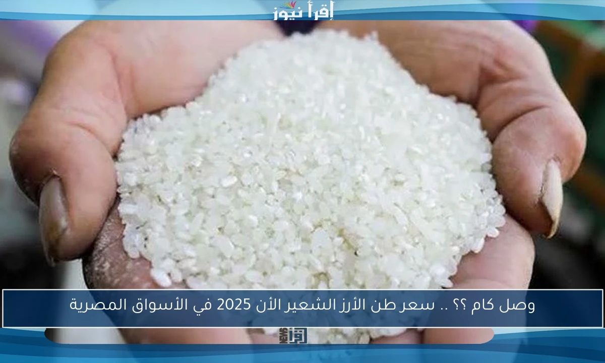وصل كام ؟؟ .. سعر طن الأرز الشعير الأن 2025 في الأسواق المصرية