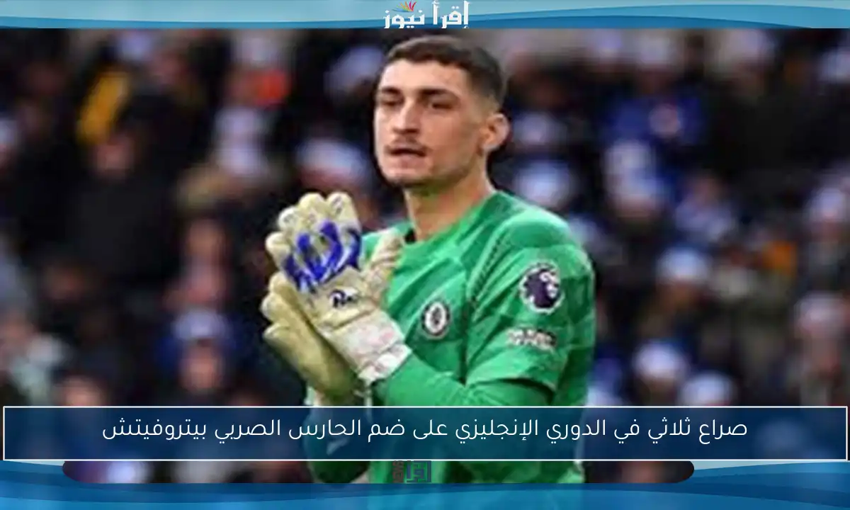 صراع ثلاثي في الدوري الإنجليزي على ضم الحارس الصربي بيتروفيتش