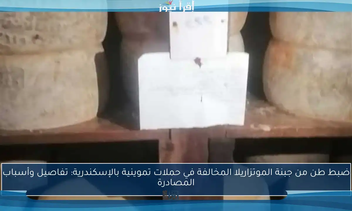 ضبط طن من جبنة الموتزاريلا المخالفة في حملات تموينية بالإسكندرية: تفاصيل وأسباب المصادرة