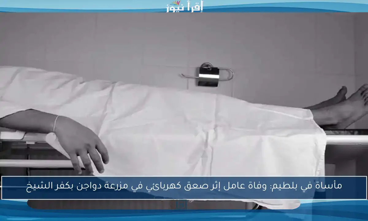 مأساة في بلطيم: وفاة عامل إثر صعق كهربائي في مزرعة دواجن بكفر الشيخ