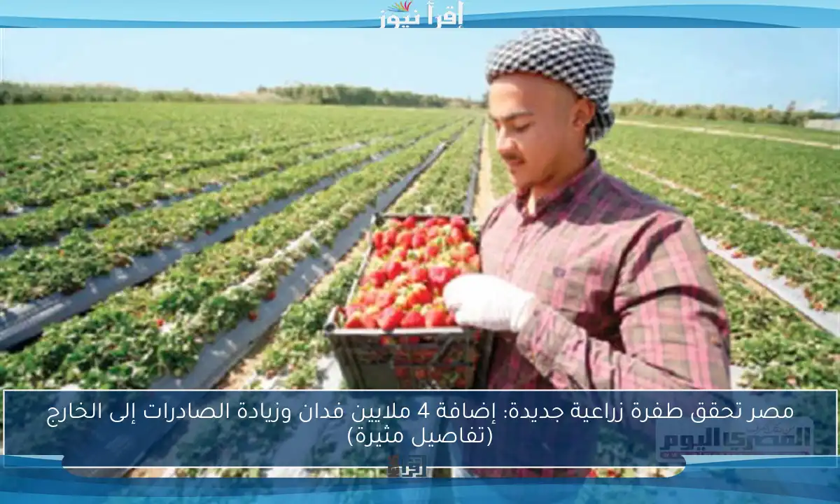 مصر تحقق طفرة زراعية جديدة: إضافة 4 ملايين فدان وزيادة الصادرات إلى الخارج (تفاصيل مثيرة)
