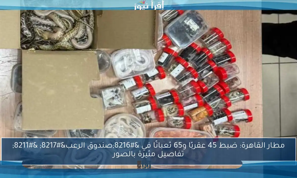 مطار القاهرة: ضبط 45 عقربًا و65 ثعبانًا في ‘صندوق الرعب’ – تفاصيل مثيرة بالصور