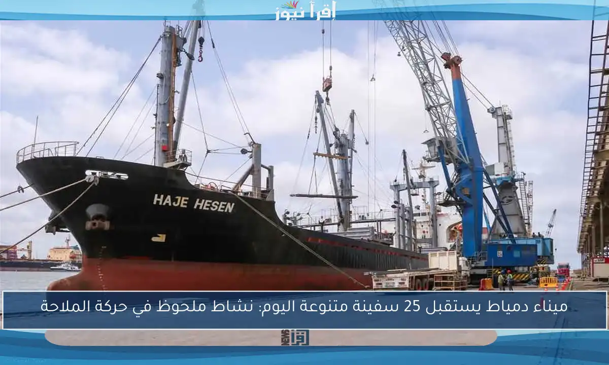 ميناء دمياط يستقبل 25 سفينة متنوعة اليوم: نشاط ملحوظ في حركة الملاحة