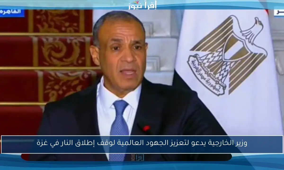 وزير الخارجية يدعو لتعزيز الجهود العالمية لوقف إطلاق النار في غزة